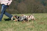 ADULTE ET CHIEN 366